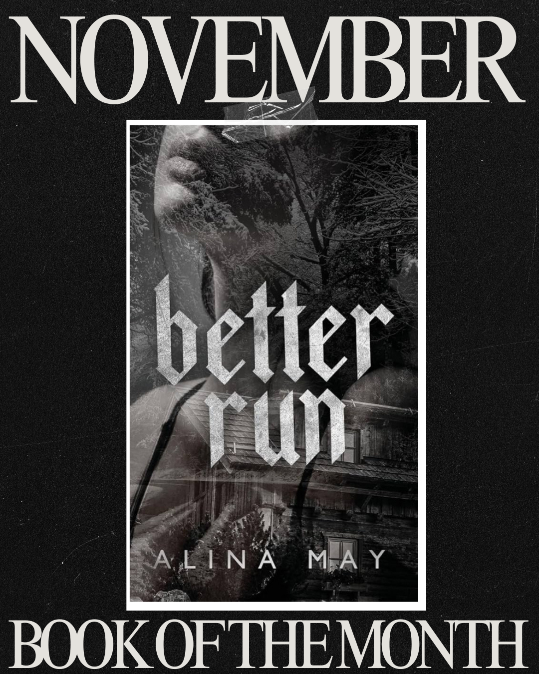 November BOTM *Dark Romance