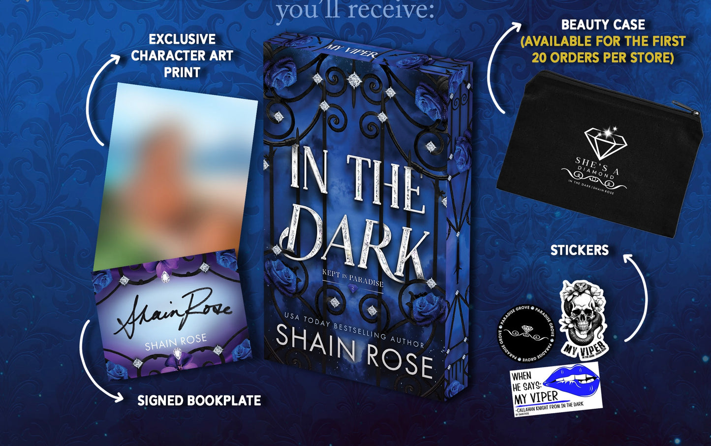 In The Dark PREORDER